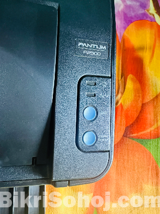 Pantum P2500